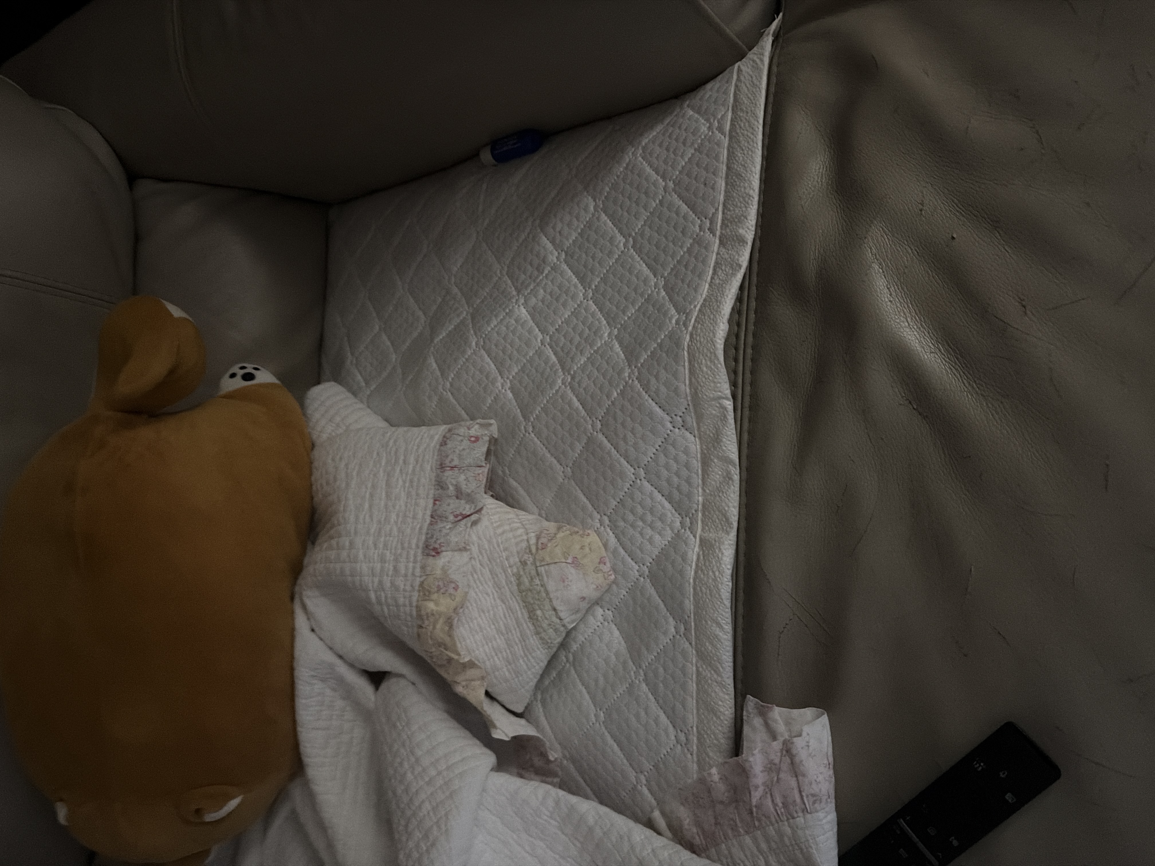 /reviews/imageca29219c7bf15b8db065701004094276.jpg